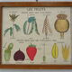 Set of 10 Rossignol posters on plants with frame