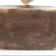 Old box