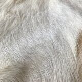 Goat skin