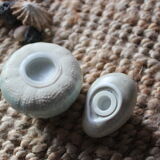 Salt and pepper shaker shells