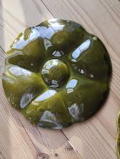 6 vintage ceramic oyster plates from Gien