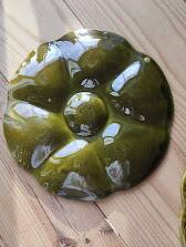 6 Assiettes à huîtres vintage en céramique de Gien