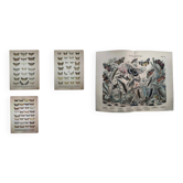 Set of 4 antique butterfly engravings (19th century lithographs)