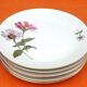 6 Bohemian Fine Porcelain Dinner Plates