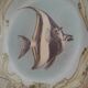 Ceramic plate