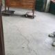 Antique wooden mirror