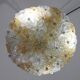 Wonderful Orange and Transparent Murano Glass Ceiling Light Flower by Seguso