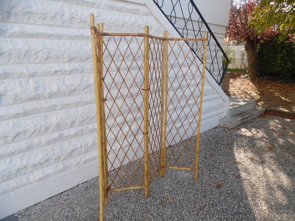 Rattan screen