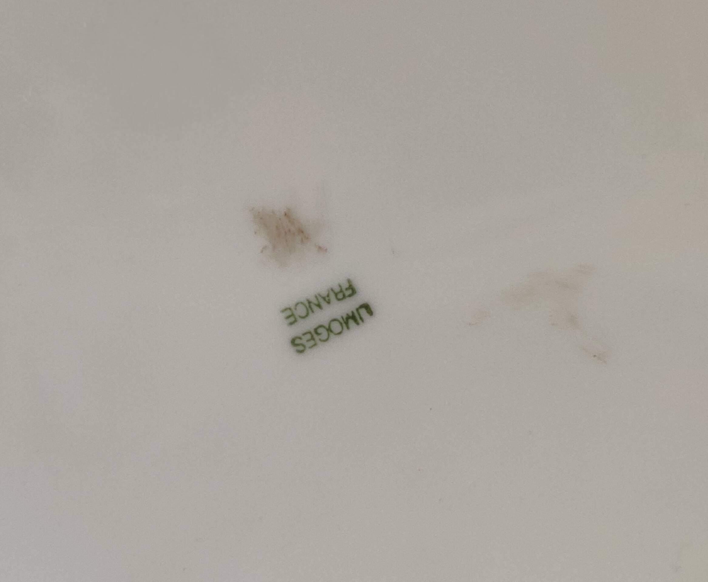 Forget-me-not porcelain dish