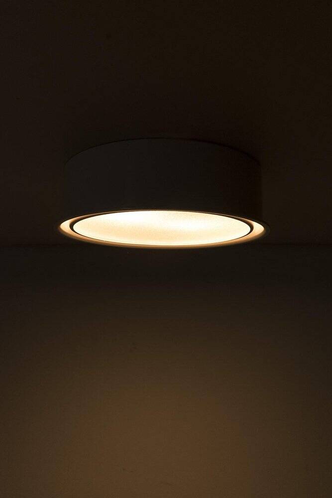 Vintage Metal Ceiling Lamp