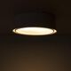 Vintage Metal Ceiling Lamp