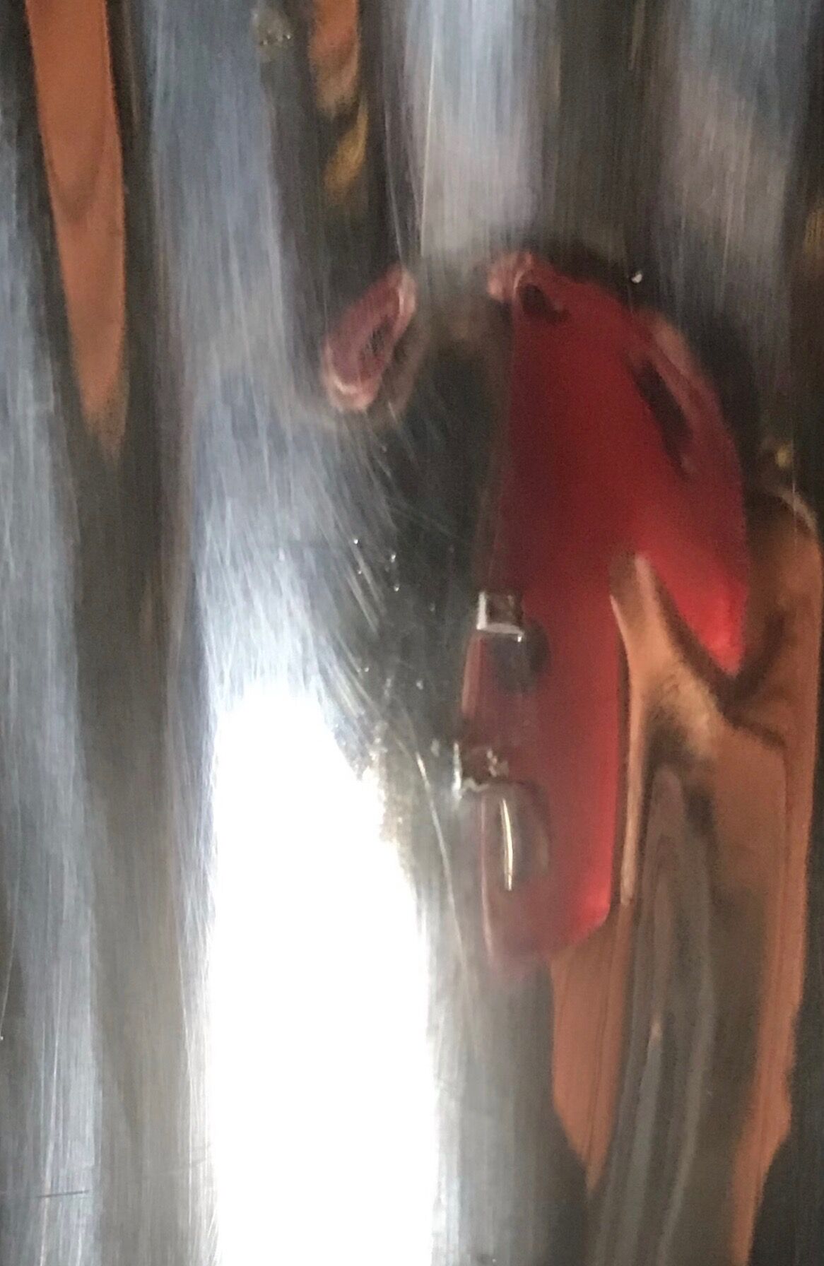 Dish scallops in silver metal