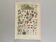 Gravure ancienne 1897 - Mollusques Coquillages - planche botanique