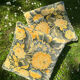 Lot coussins vintage