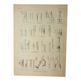 Old engraving 1922, Tree grafting, arboriculture, gardening • Lithograph, original illustration