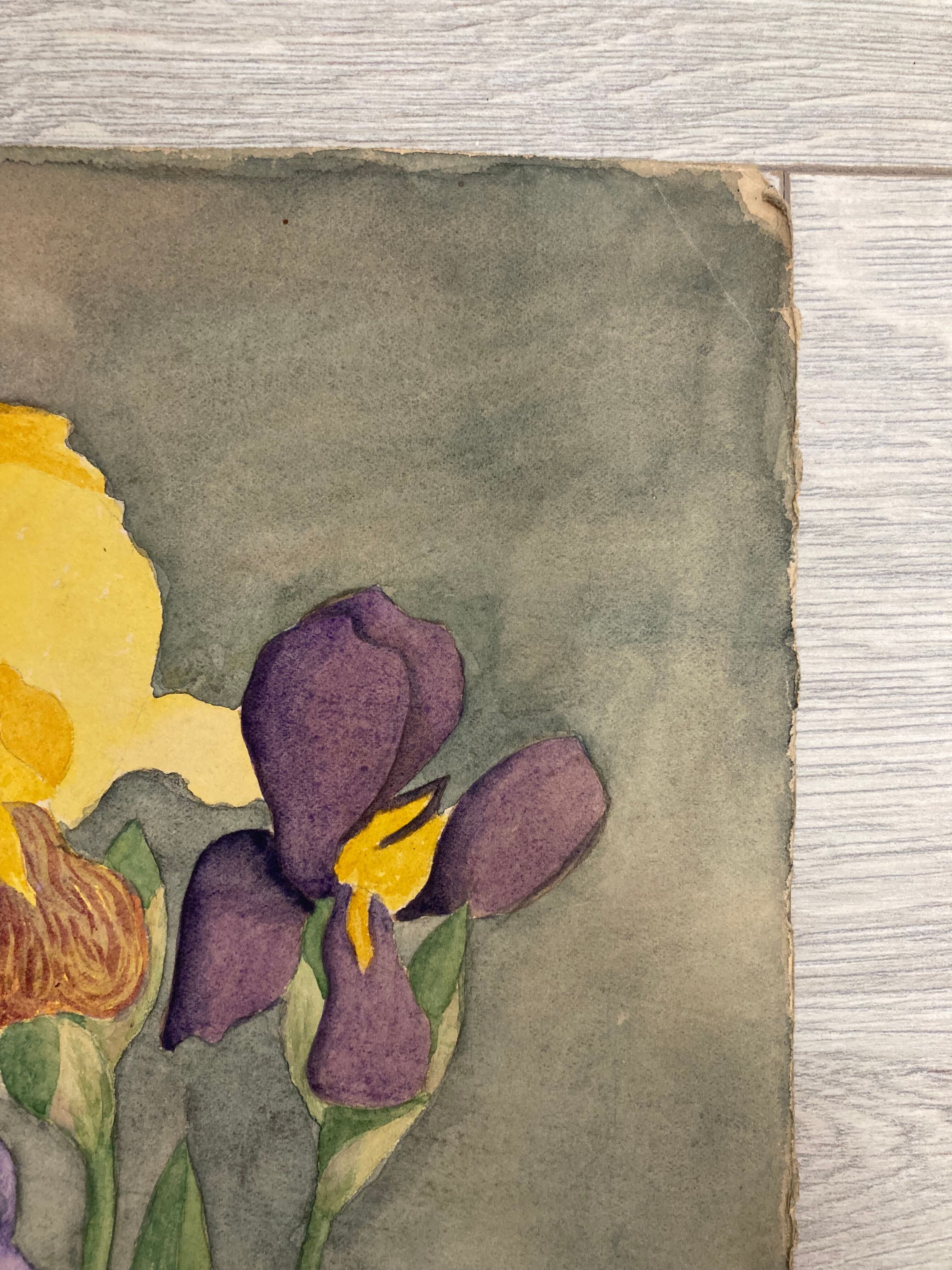 Watercolor with vintage irises