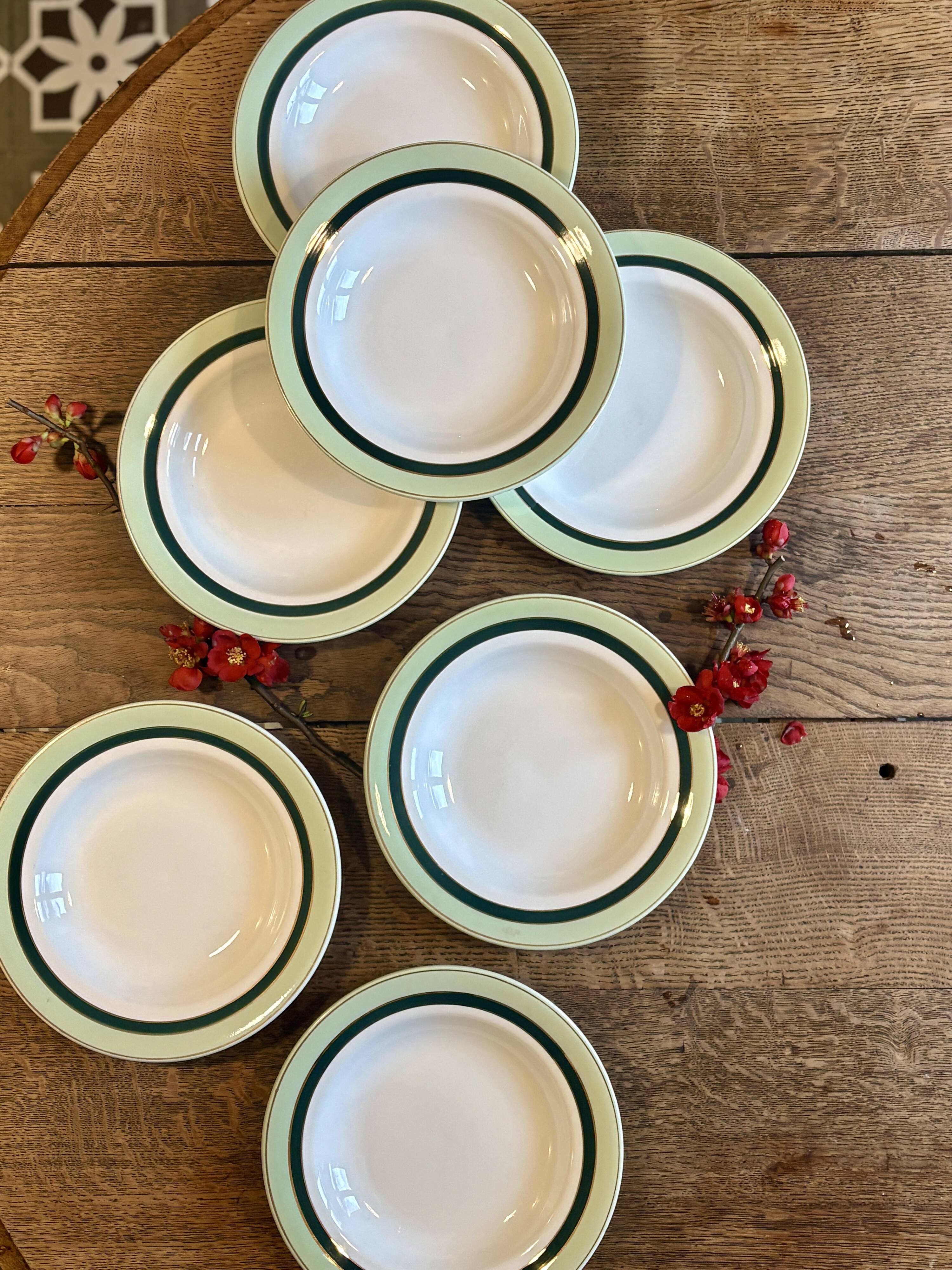 Set of 7 antique deep plates Salins - green Texas -