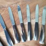 Service 12 horn handle knives