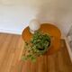 Table basse scandinave