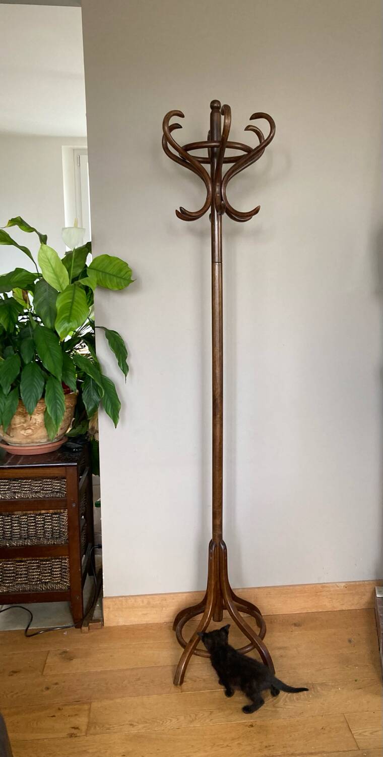 Perroquet coat rack from the mid-20th century (deliverable)