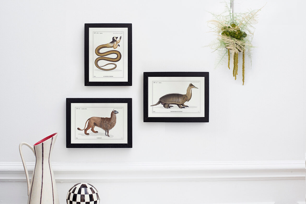 Set of 3 chimera lithography animal engraving