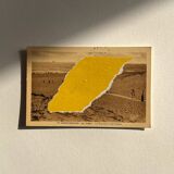 The Ferret - Collage