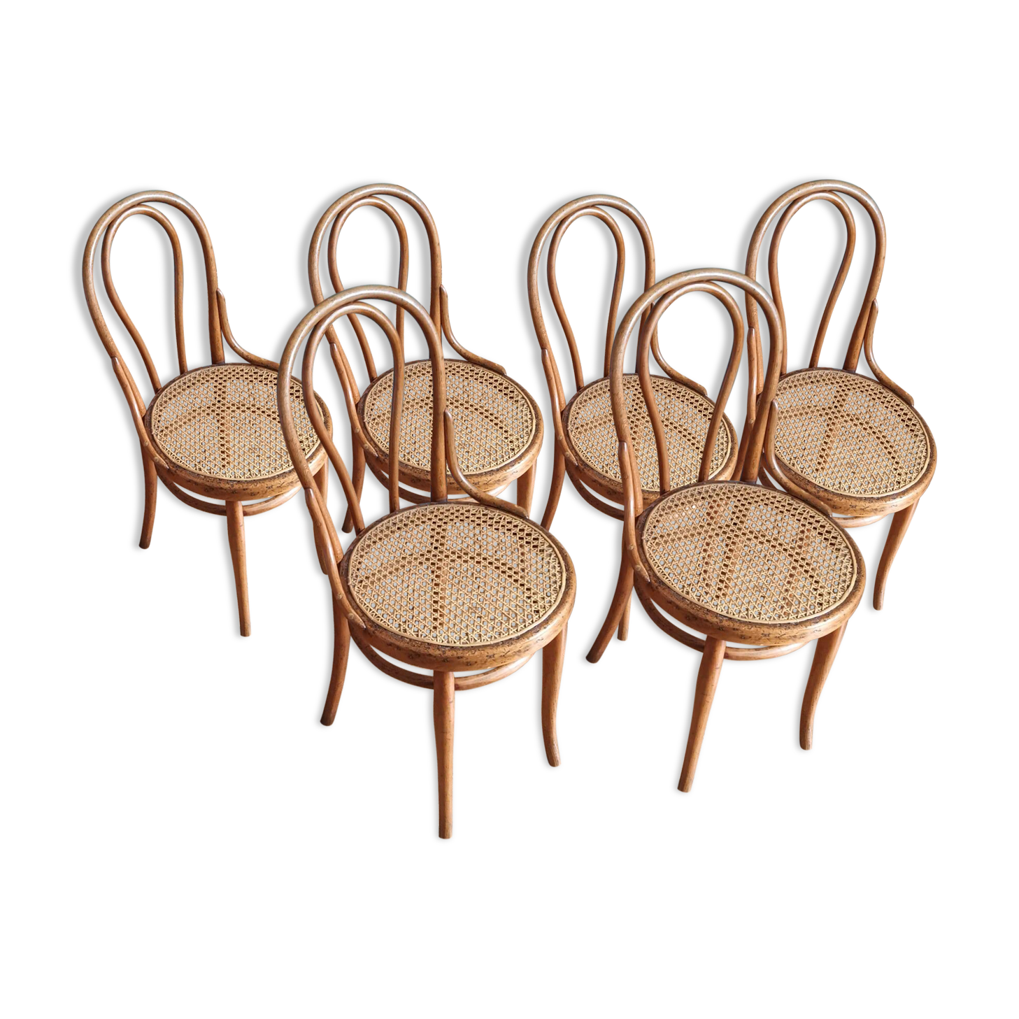 Set of 6 Thonet N°14 chairs