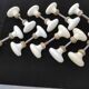 Set of 18 porcelain handles (B-0049-1)