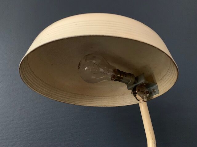 Desk lamp 50s unbleached metal