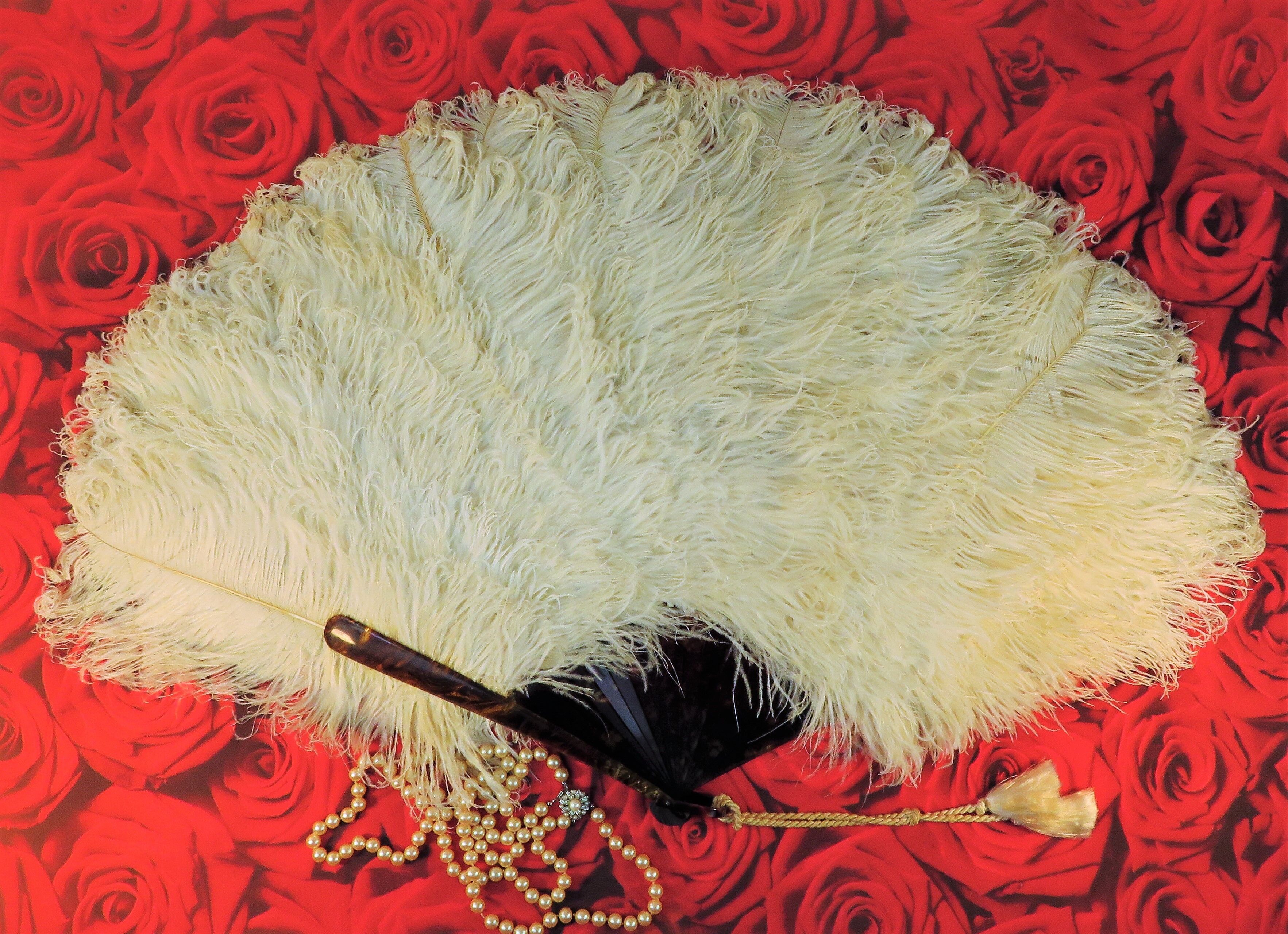 Large EVENTAIL in ostrich feather and scaled frame, nineteenth