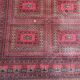 Virgin wool carpet 200x300