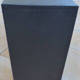 Art Deco low cabinet with two doors and shelf in walnut veneer