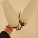 Luminaires 1950