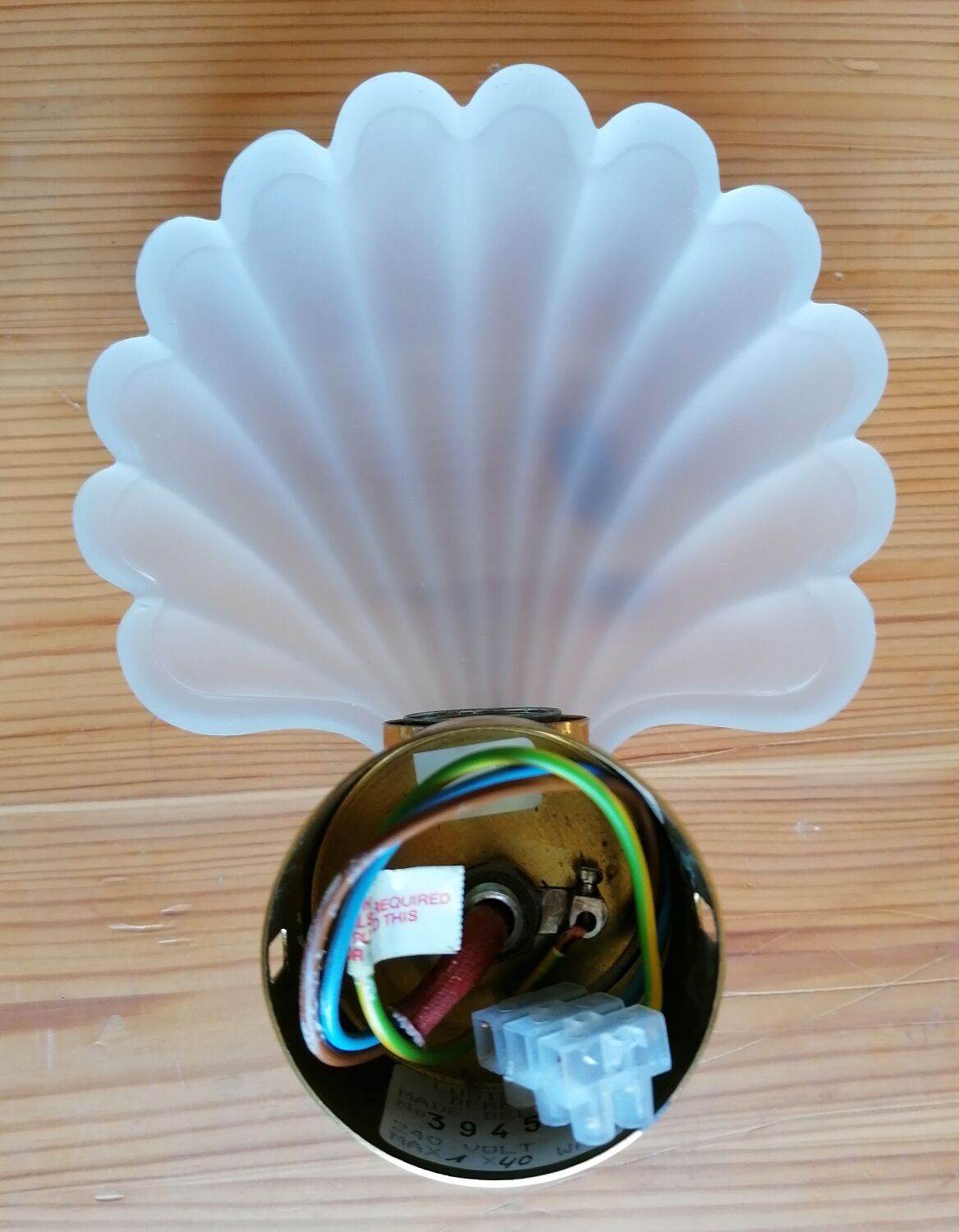 Pair of Deknudt shell wall lights