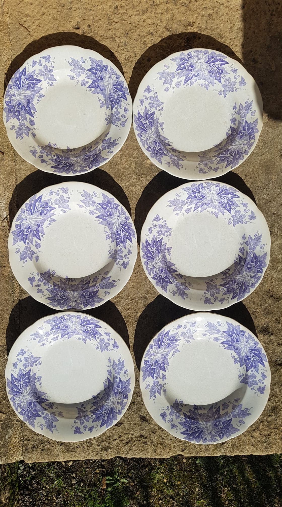 Set of 6 plates Sarreguemines model Bryonia