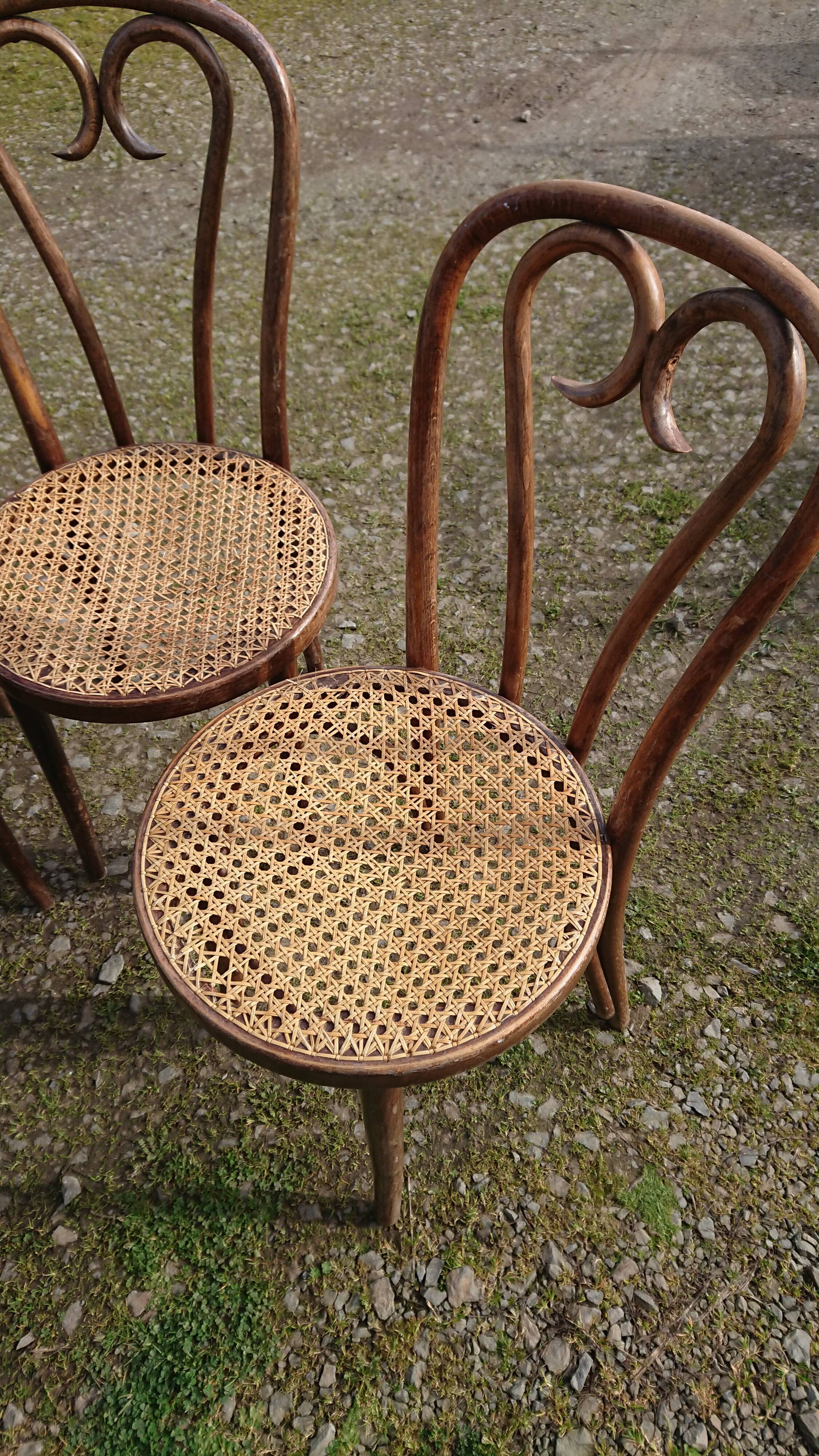 Suite 4 thonet chairs