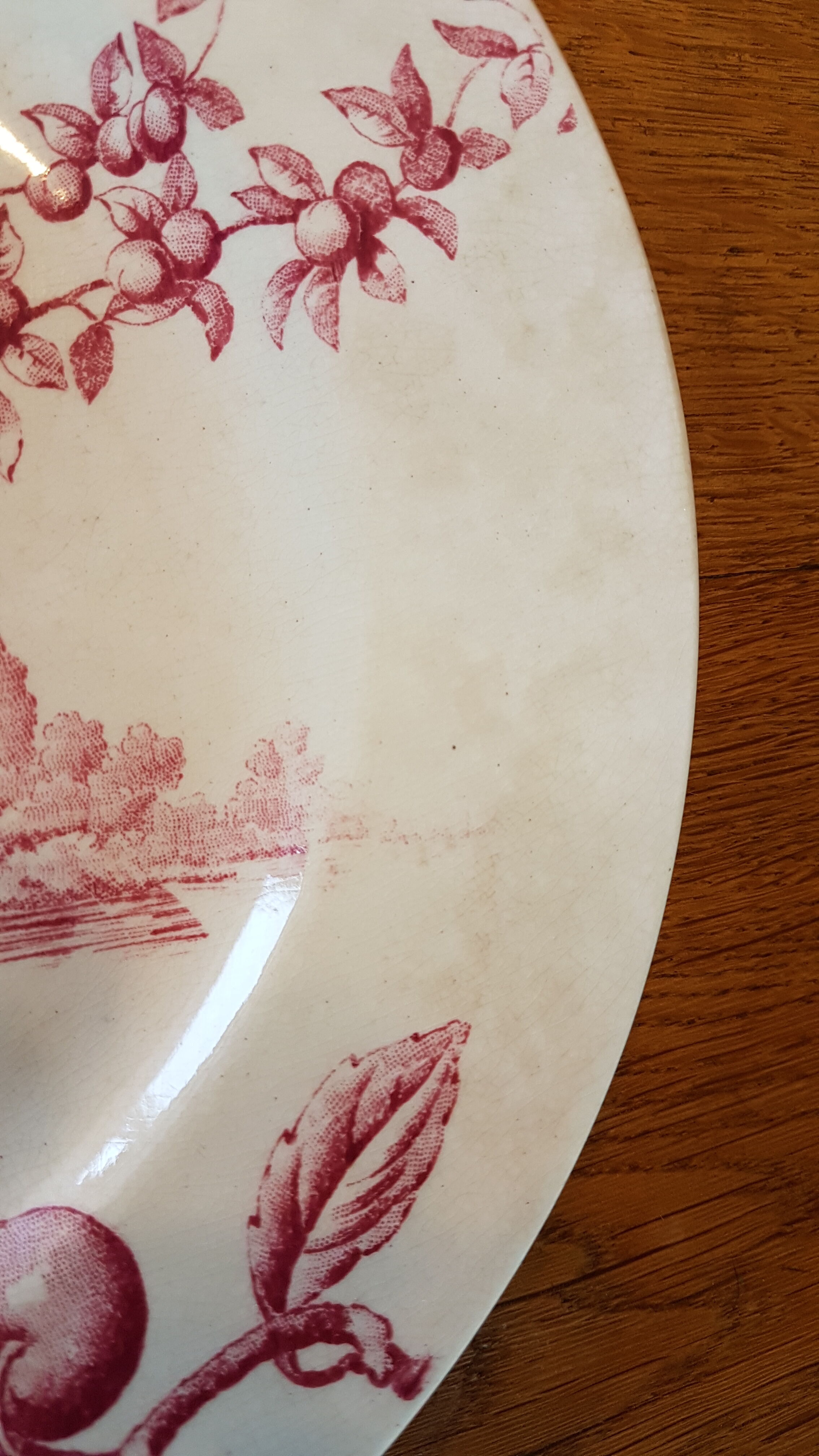 Plate with decoration of birds, fruit trees