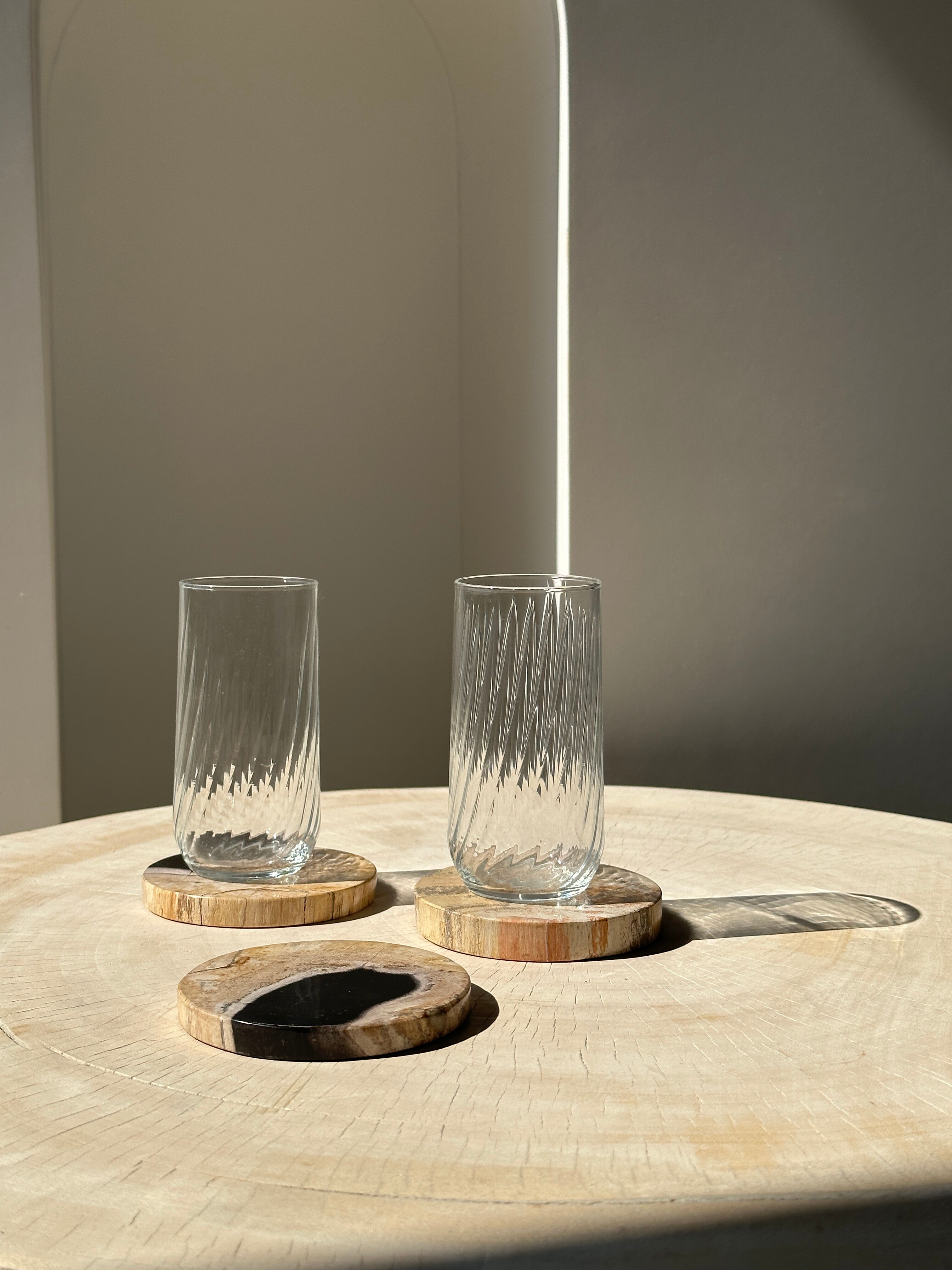 Set of 3 fossilized wooden coasters (clear)