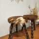 Duo of cowhide stools