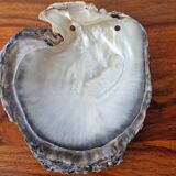 Vintage pearl oyster shell