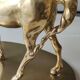 Large vintage horse in exercise figurine on oval base, in polished brass 26 x 19 cm
