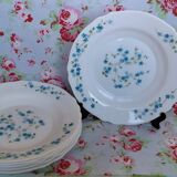 Lot de 6 assiettes creuses Arcopal Veronica Myosotis années 70