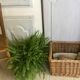 Wicker pan