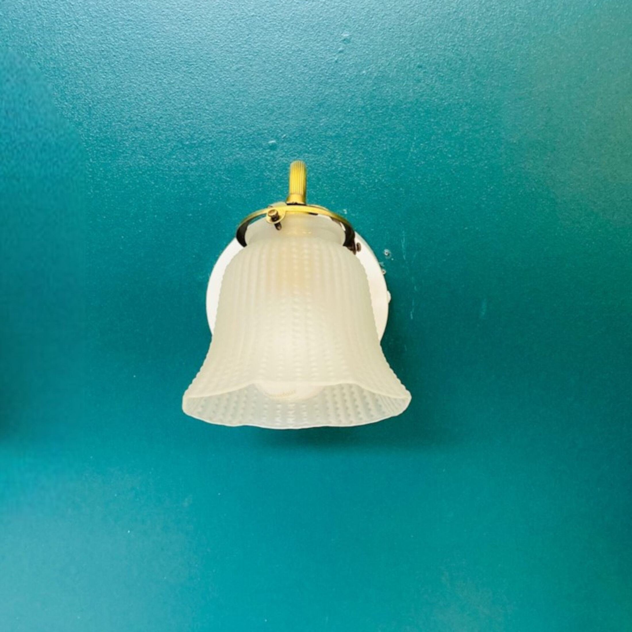 Pair of brass wall sconces and glass tulips vintage decoration lighting fixture