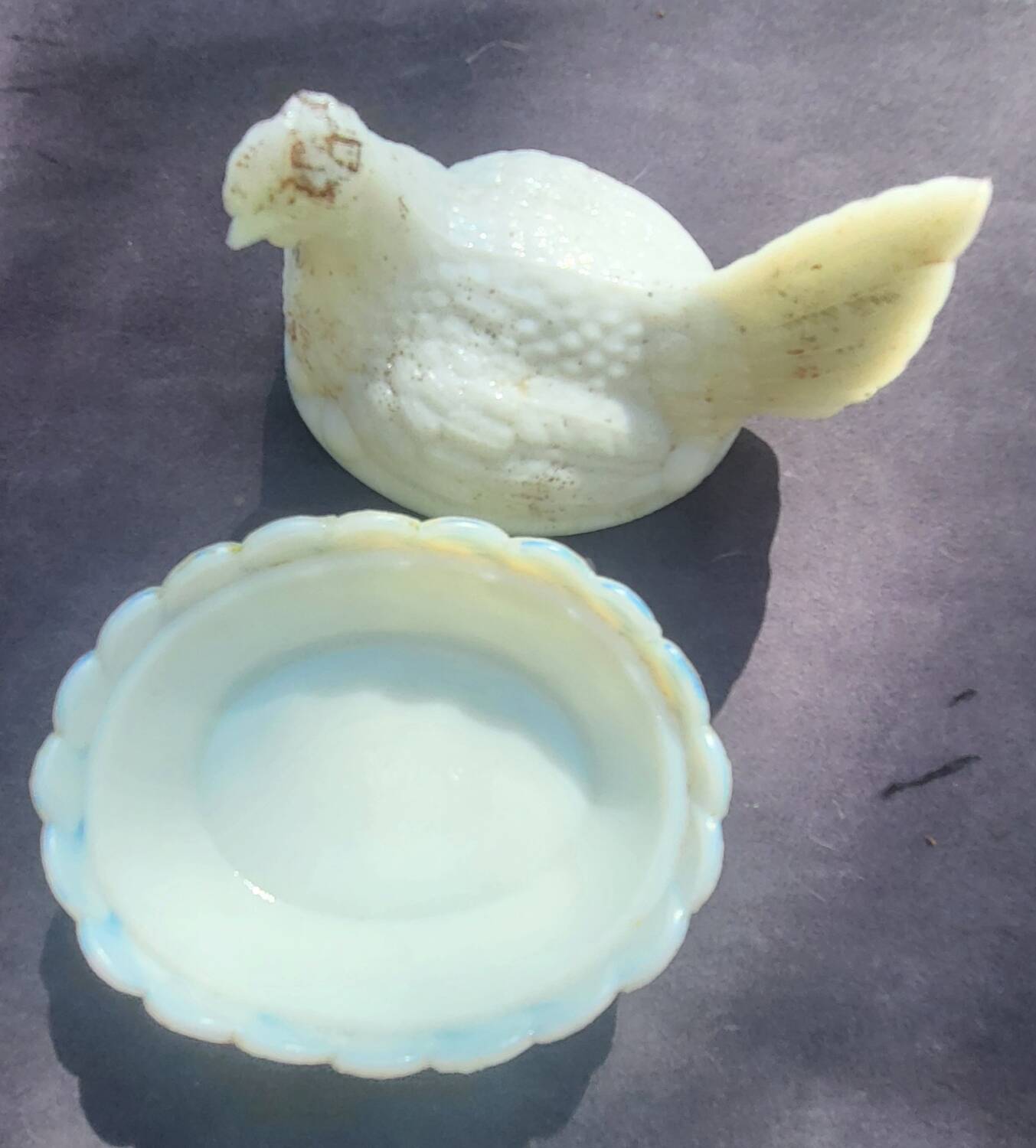 Vallerysthal Opaline Hen