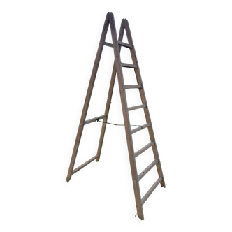 Old painter's ladder stepladder