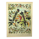 Antique engraving 1897 - Birds 2, species, bird of paradise