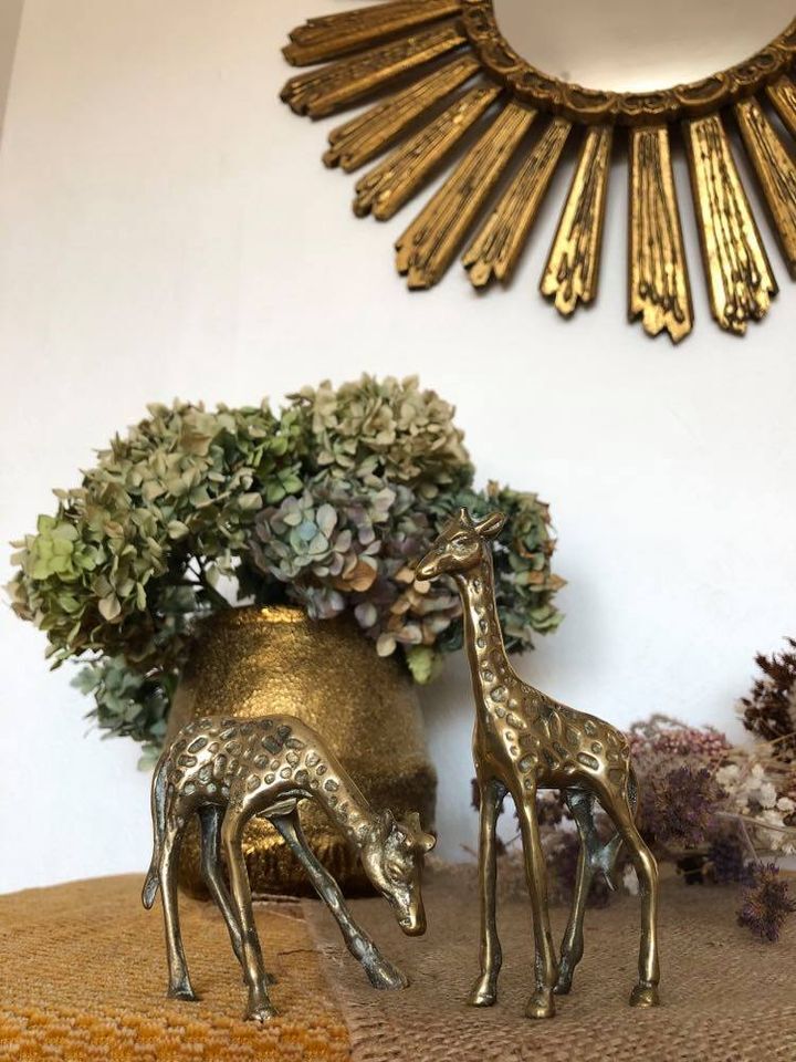 Pair of two giraffes