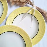 Moulin des loups soup plates