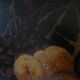 Nature morte aux insectes